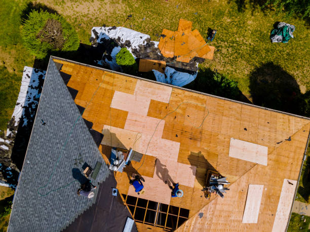 Professional Roofing Contractor in Lockwood, MO