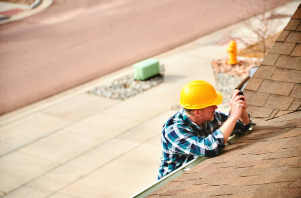 Roof Gutter Cleaning in Lockwood, MO